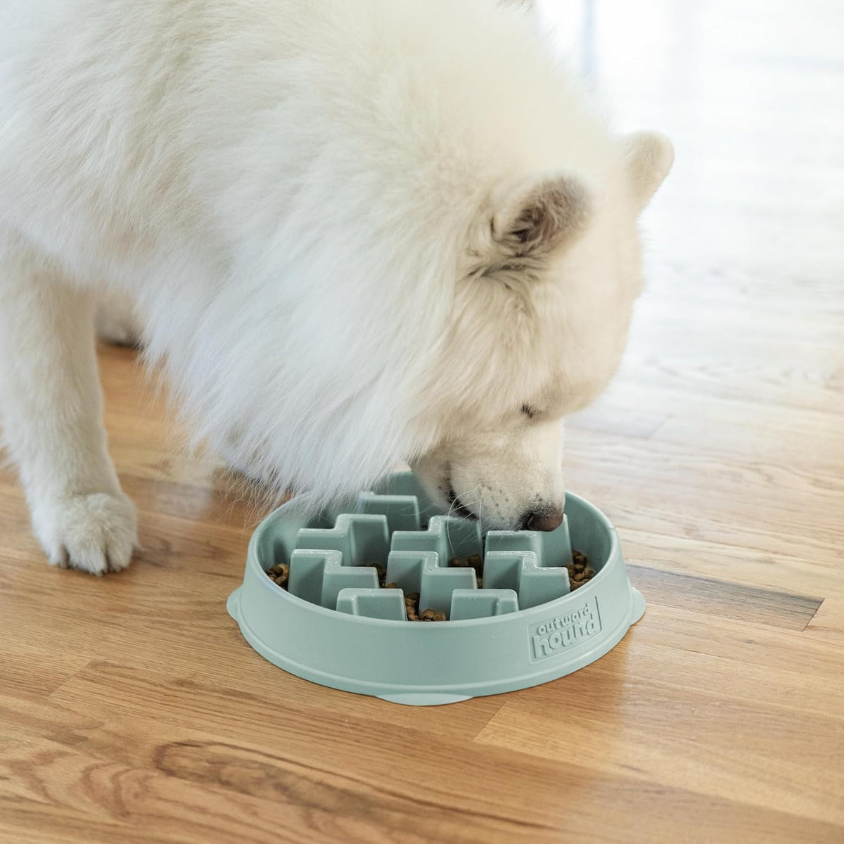 Fun Feeder Slo Bowl – Medium 2‑Cup Capacity, Slow Feeding, Small to Medium Dogs & Cats, Non-Slip, Blue, Notch Pattern | Slows Fast Eaters, Can Aid Digestion, Holds 2 Cups Dry or Wet Food, Non-Slip, Easy Clean, No BPA, Small to Medium Dogs & Cats