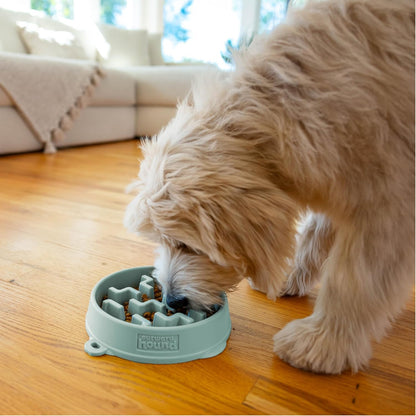 Fun Feeder Slo Bowl – Medium 2‑Cup Capacity, Slow Feeding, Small to Medium Dogs & Cats, Non-Slip, Blue, Notch Pattern | Slows Fast Eaters, Can Aid Digestion, Holds 2 Cups Dry or Wet Food, Non-Slip, Easy Clean, No BPA, Small to Medium Dogs & Cats