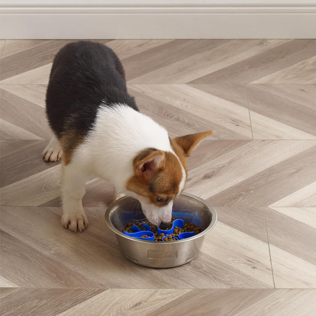 Fun Feeder Slo Bowl – Medium 2‑Cup Capacity, Slow Feeding, Small to Medium Dogs & Cats, Non-Slip, Blue, Notch Pattern | Slows Fast Eaters, Can Aid Digestion, Holds 2 Cups Dry or Wet Food, Non-Slip, Easy Clean, No BPA, Small to Medium Dogs & Cats
