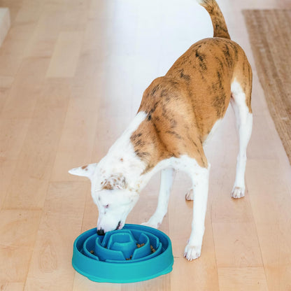 Fun Feeder Slo Bowl – Medium 2‑Cup Capacity, Slow Feeding, Small to Medium Dogs & Cats, Non-Slip, Blue, Notch Pattern | Slows Fast Eaters, Can Aid Digestion, Holds 2 Cups Dry or Wet Food, Non-Slip, Easy Clean, No BPA, Small to Medium Dogs & Cats