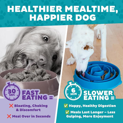 Fun Feeder Slo Bowl – Medium 2‑Cup Capacity, Slow Feeding, Small to Medium Dogs & Cats, Non-Slip, Blue, Notch Pattern | Slows Fast Eaters, Can Aid Digestion, Holds 2 Cups Dry or Wet Food, Non-Slip, Easy Clean, No BPA, Small to Medium Dogs & Cats