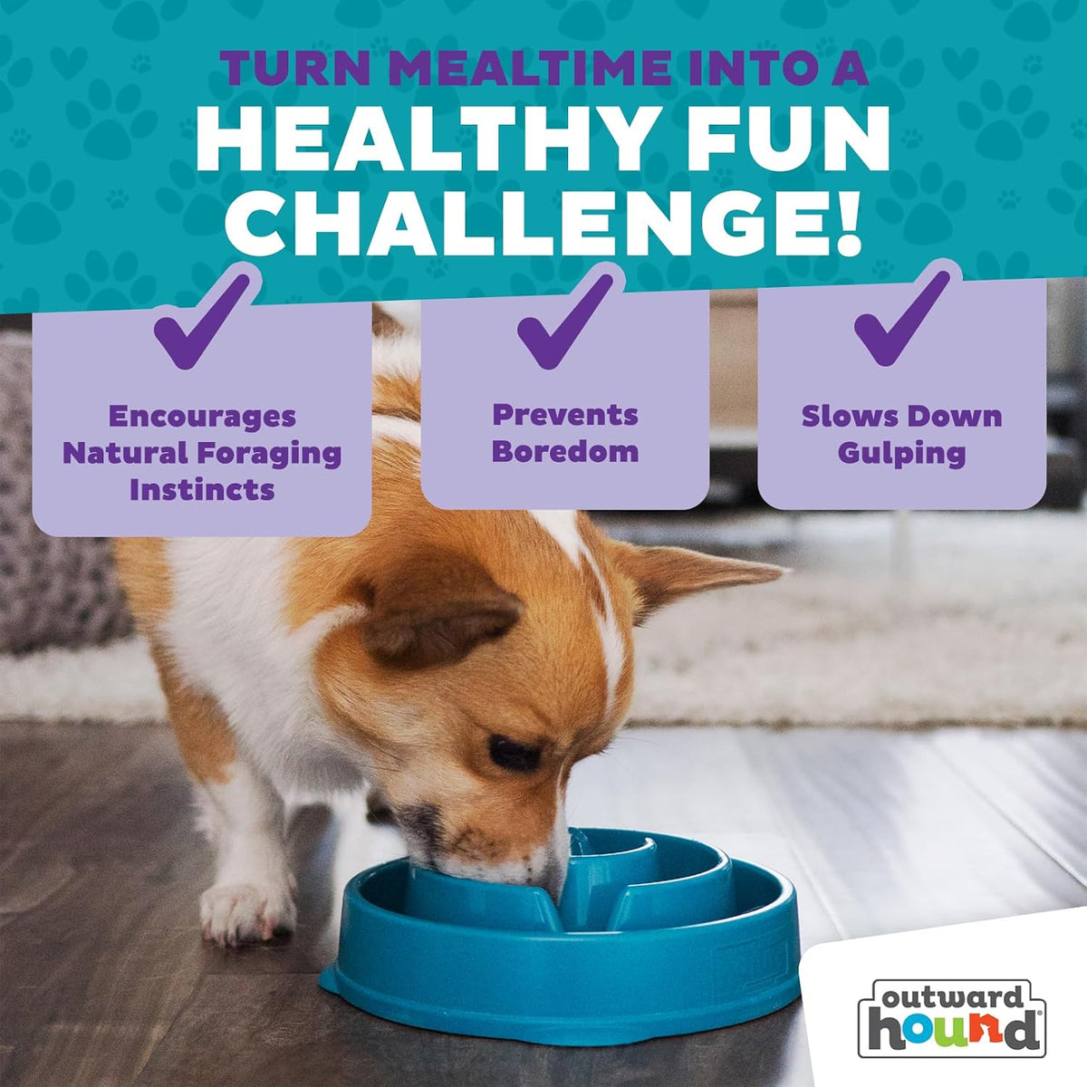 Fun Feeder Slo Bowl – Medium 2‑Cup Capacity, Slow Feeding, Small to Medium Dogs & Cats, Non-Slip, Blue, Notch Pattern | Slows Fast Eaters, Can Aid Digestion, Holds 2 Cups Dry or Wet Food, Non-Slip, Easy Clean, No BPA, Small to Medium Dogs & Cats