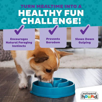 Fun Feeder Slo Bowl – Medium 2‑Cup Capacity, Slow Feeding, Small to Medium Dogs & Cats, Non-Slip, Blue, Notch Pattern | Slows Fast Eaters, Can Aid Digestion, Holds 2 Cups Dry or Wet Food, Non-Slip, Easy Clean, No BPA, Small to Medium Dogs & Cats