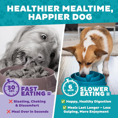 Fun Feeder Slo Bowl – Medium 2‑Cup Capacity, Slow Feeding, Small to Medium Dogs & Cats, Non-Slip, Blue, Notch Pattern | Slows Fast Eaters, Can Aid Digestion, Holds 2 Cups Dry or Wet Food, Non-Slip, Easy Clean, No BPA, Small to Medium Dogs & Cats