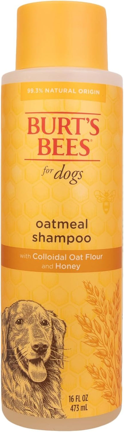 Oatmeal Dog Shampoo with Honey, Unscented, 16 Fl Oz
