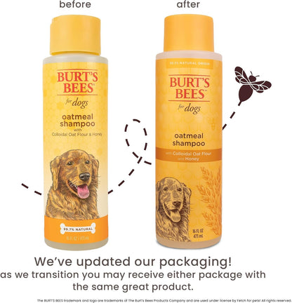 Oatmeal Dog Shampoo with Honey, Unscented, 16 Fl Oz