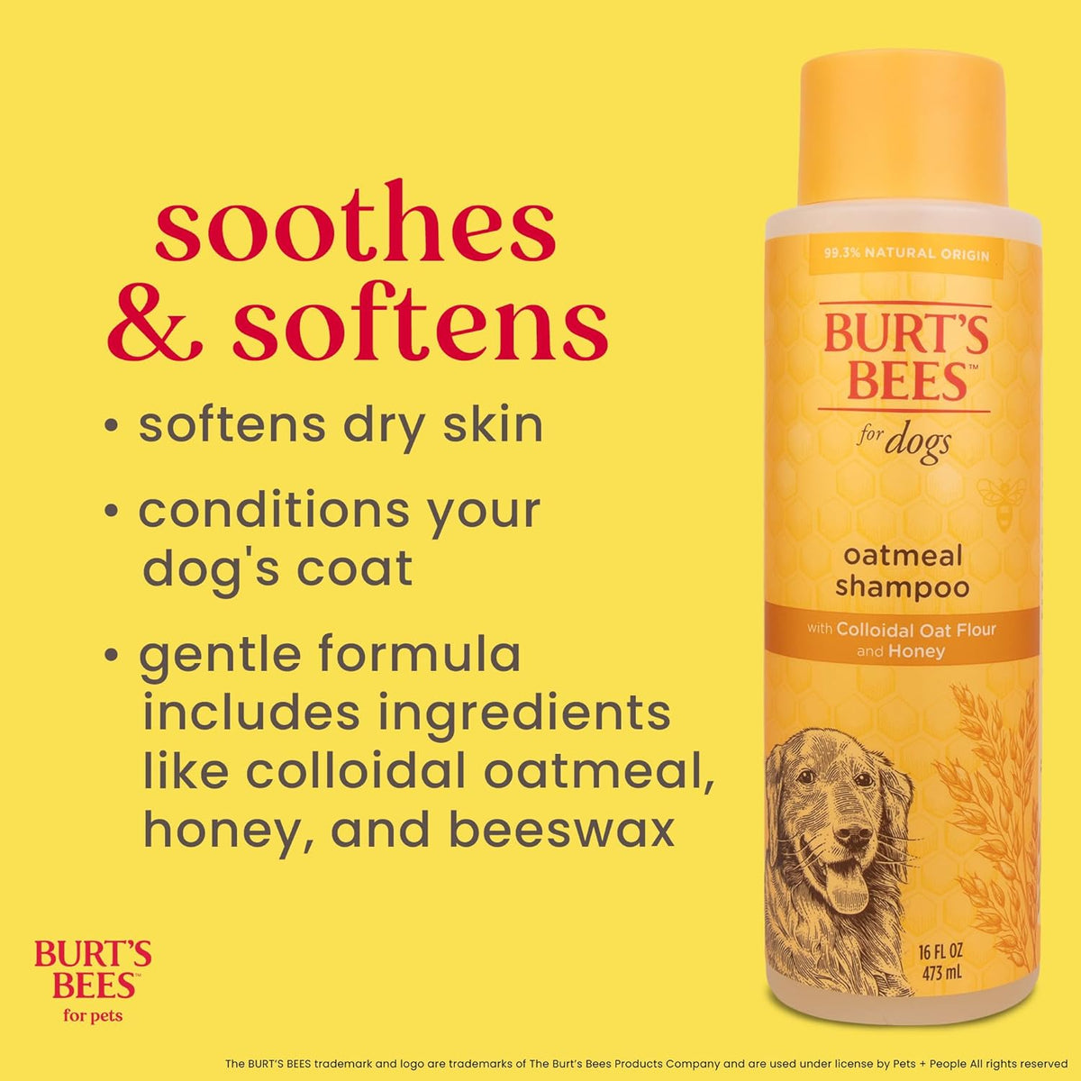 Oatmeal Dog Shampoo with Honey, Unscented, 16 Fl Oz