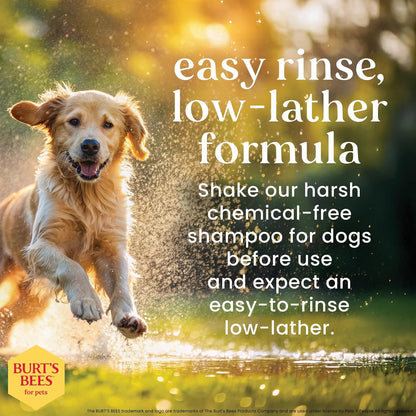 Oatmeal Dog Shampoo with Honey, Unscented, 16 Fl Oz