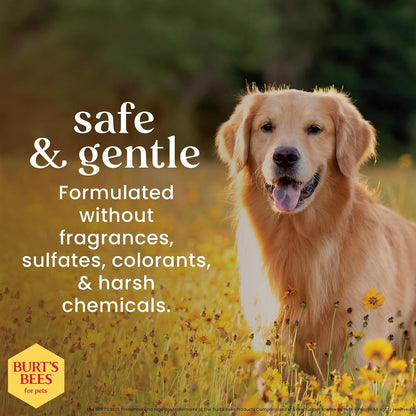 Oatmeal Dog Shampoo with Honey, Unscented, 16 Fl Oz