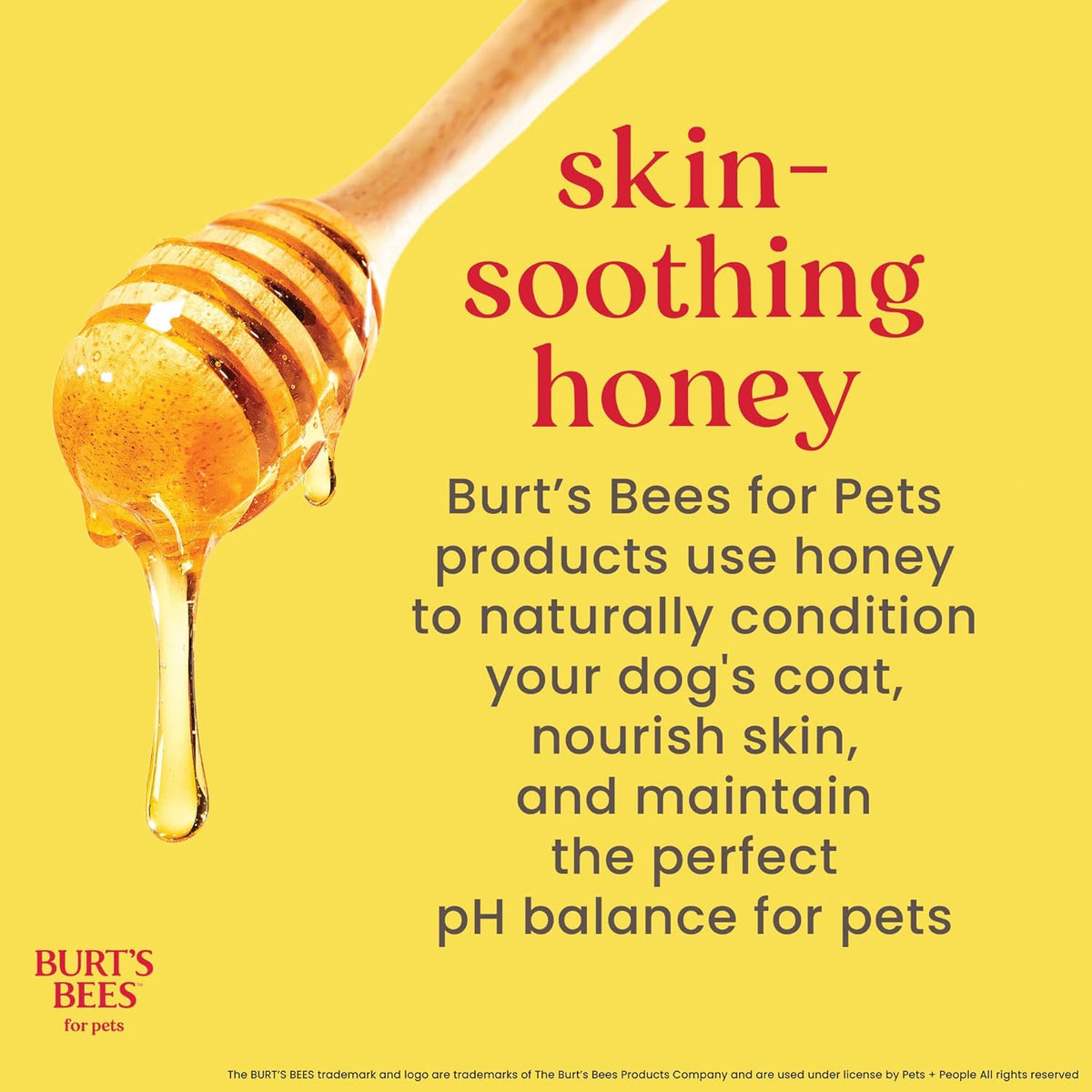Oatmeal Dog Shampoo with Honey, Unscented, 16 Fl Oz