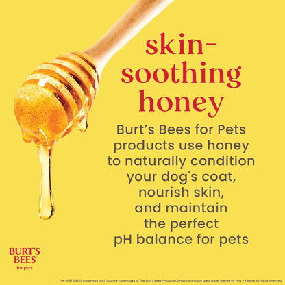 Oatmeal Dog Shampoo with Honey, Unscented, 16 Fl Oz