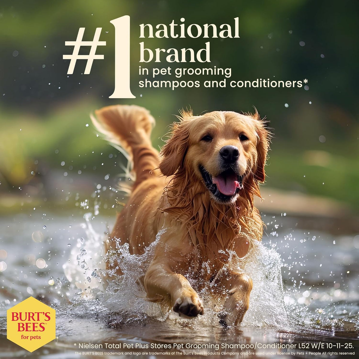 Oatmeal Dog Shampoo with Honey, Unscented, 16 Fl Oz