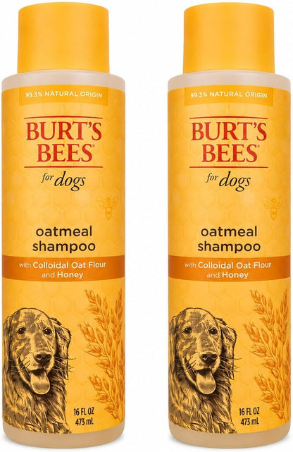 Oatmeal Dog Shampoo with Honey, Unscented, 16 Fl Oz
