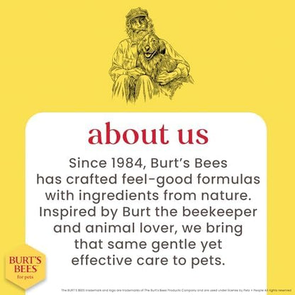 Oatmeal Dog Shampoo with Honey, Unscented, 16 Fl Oz