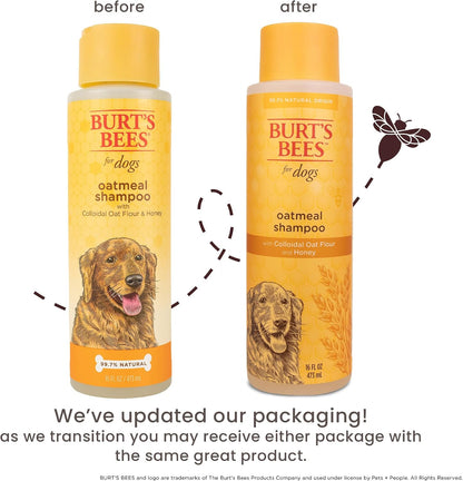 Oatmeal Dog Shampoo with Honey, Unscented, 16 Fl Oz
