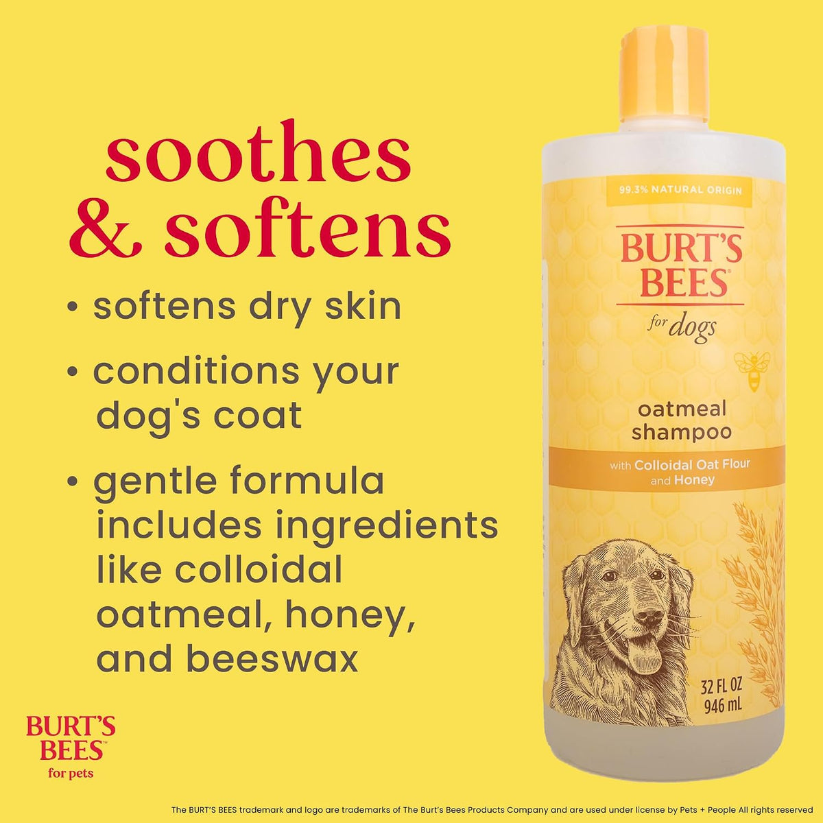 Oatmeal Dog Shampoo with Honey, Unscented, 16 Fl Oz