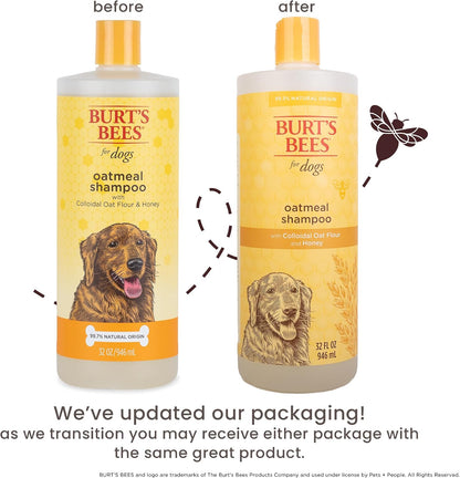 Oatmeal Dog Shampoo with Honey, Unscented, 16 Fl Oz