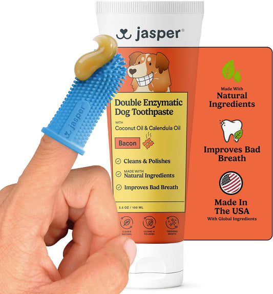 Jasper Dog Tooth Brushing Kit and Dog Toothpaste (Bacon) Kit 360