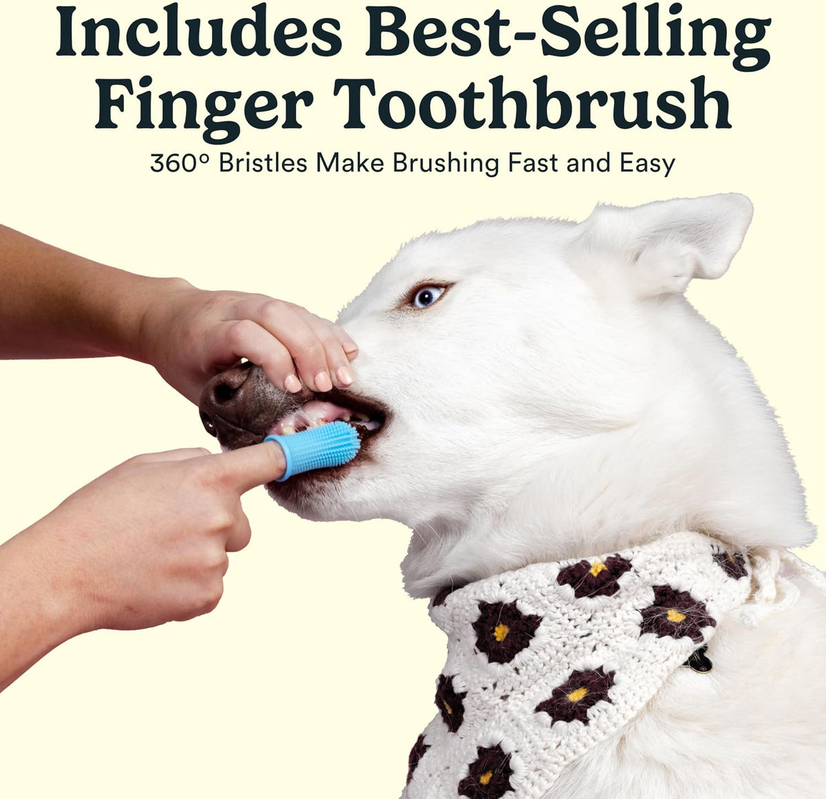 Jasper Dog Tooth Brushing Kit and Dog Toothpaste (Bacon) Kit 360