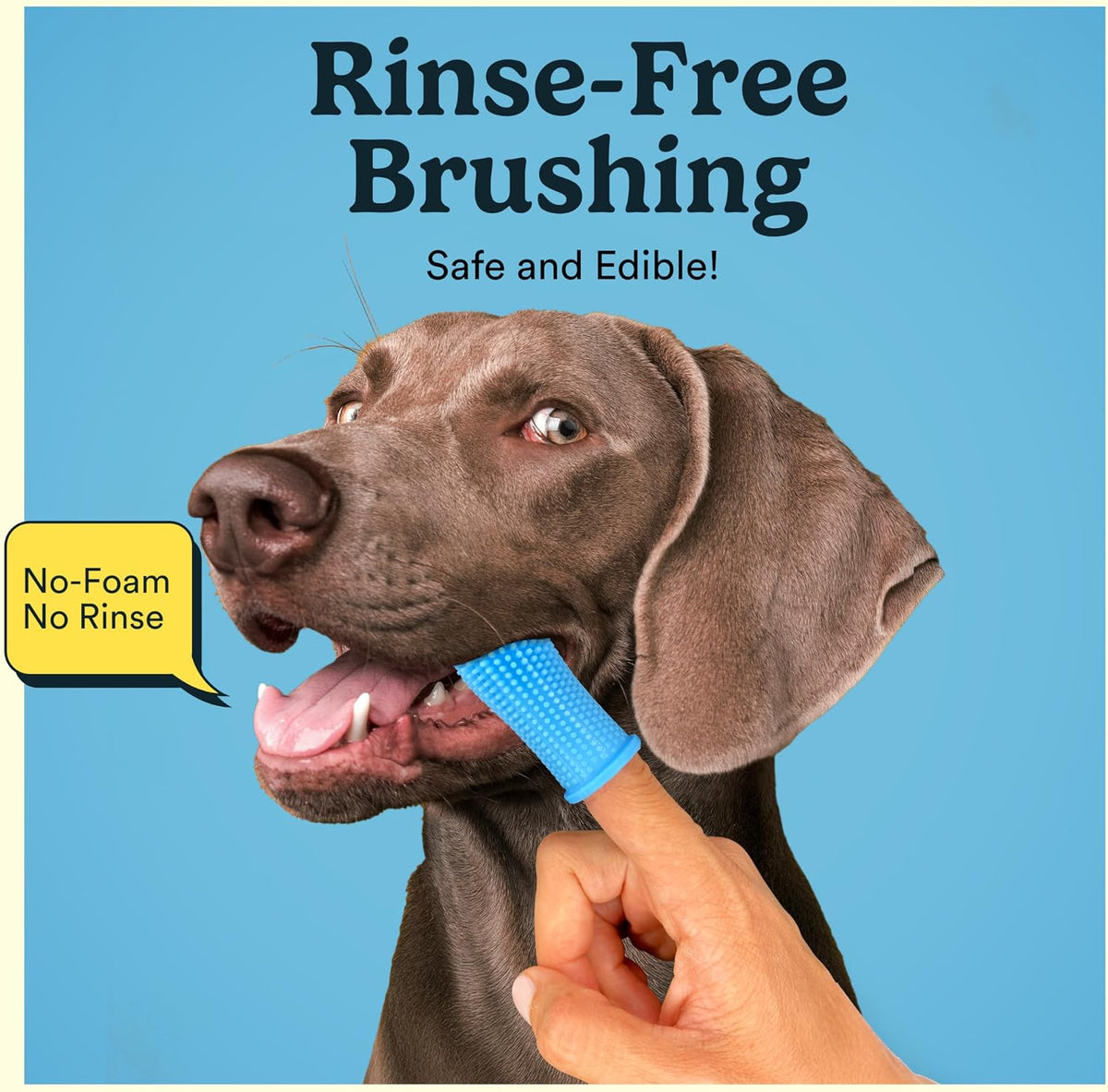 Jasper Dog Tooth Brushing Kit and Dog Toothpaste (Bacon) Kit 360
