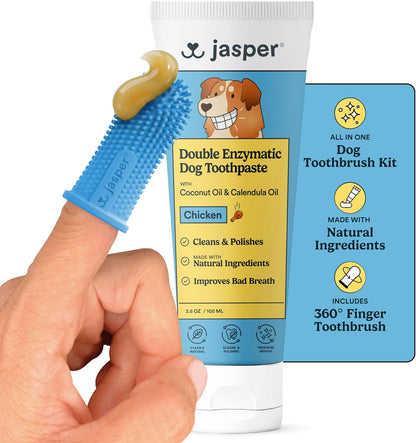 Jasper Dog Tooth Brushing Kit and Dog Toothpaste (Bacon) Kit 360