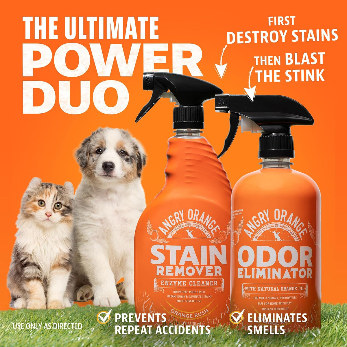 Pet Odor Eliminator for Dog and Cat Urine, Carpet Stains, and Strong Smells – NEW Orange Rush Scent – Citrus Cleaner with Natural Orange Oil – 24 oz