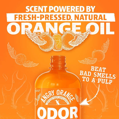 Pet Odor Eliminator for Dog and Cat Urine, Carpet Stains, and Strong Smells – NEW Orange Rush Scent – Citrus Cleaner with Natural Orange Oil – 24 oz