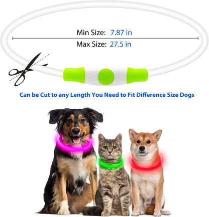 LED Dog Collar, USB Rechargeable Glow Lighted up Collar, Green