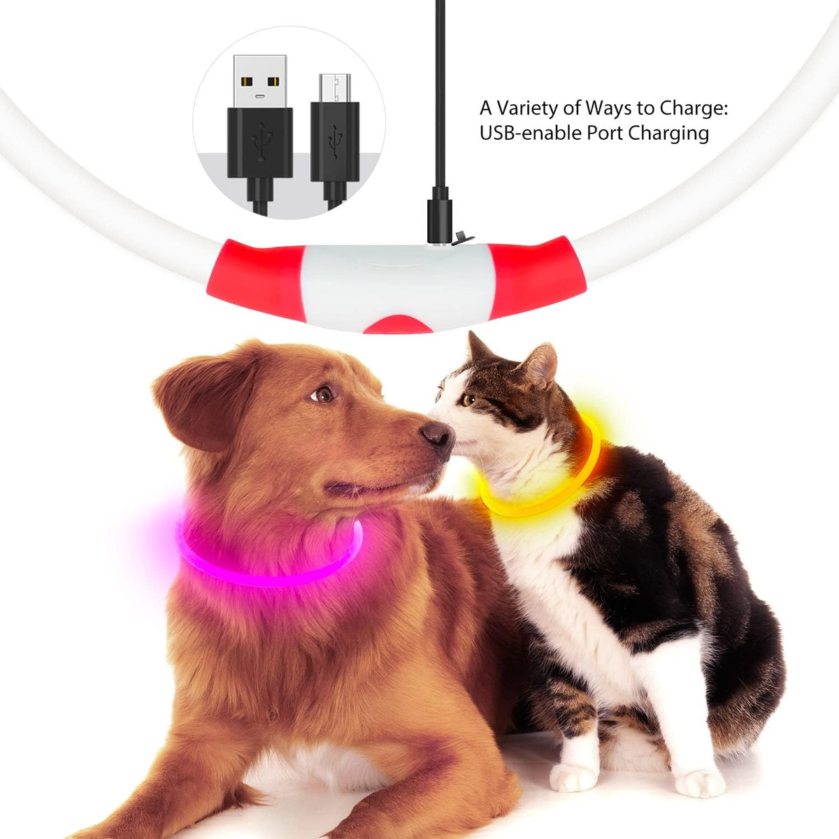 LED Dog Collar, USB Rechargeable Glow Lighted up Collar, Green