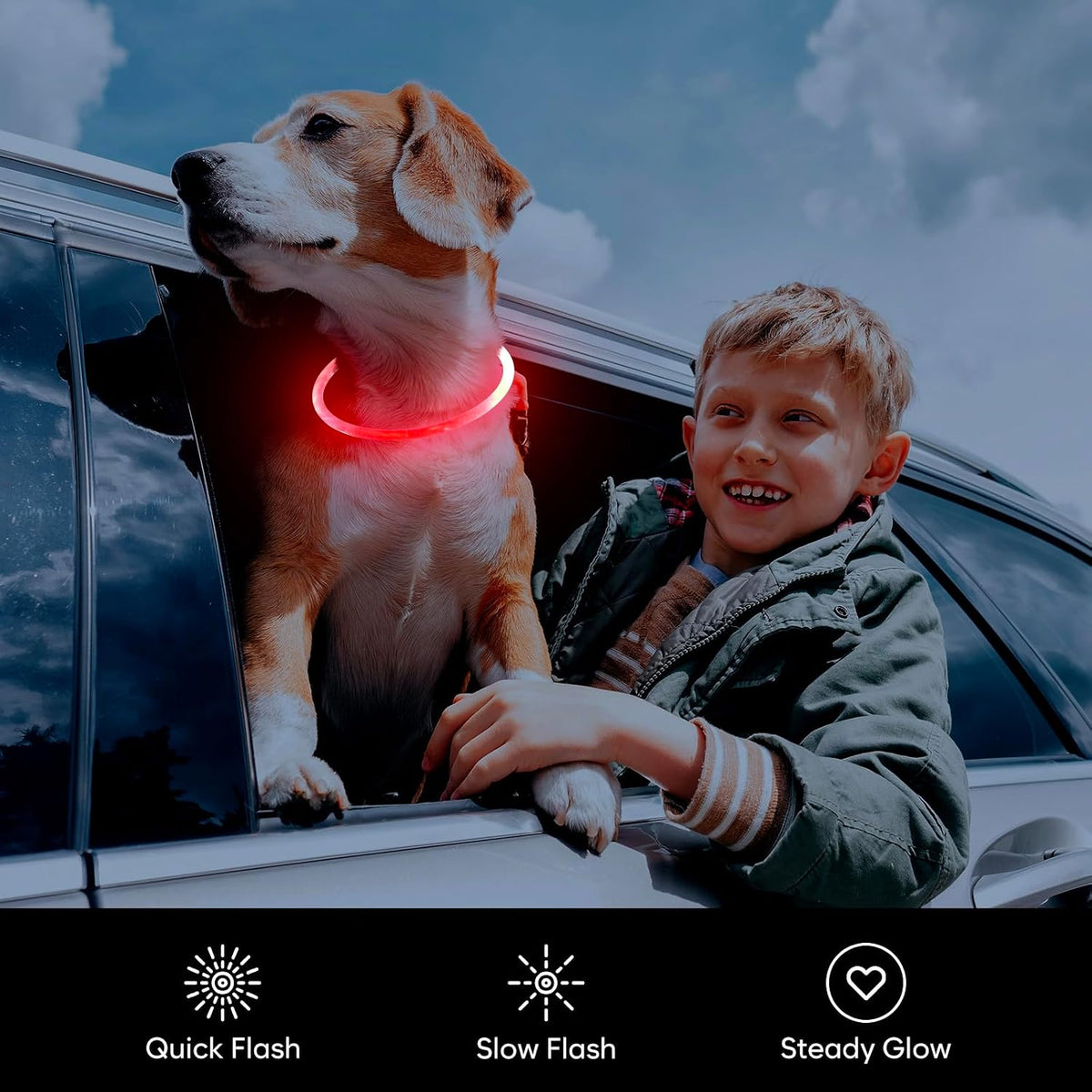 LED Dog Collar, USB Rechargeable Glow Lighted up Collar, Green