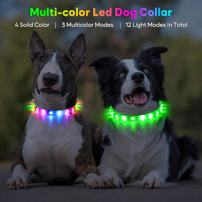 LED Dog Collar, USB Rechargeable Glow Lighted up Collar, Green