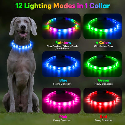LED Dog Collar, USB Rechargeable Glow Lighted up Collar, Green