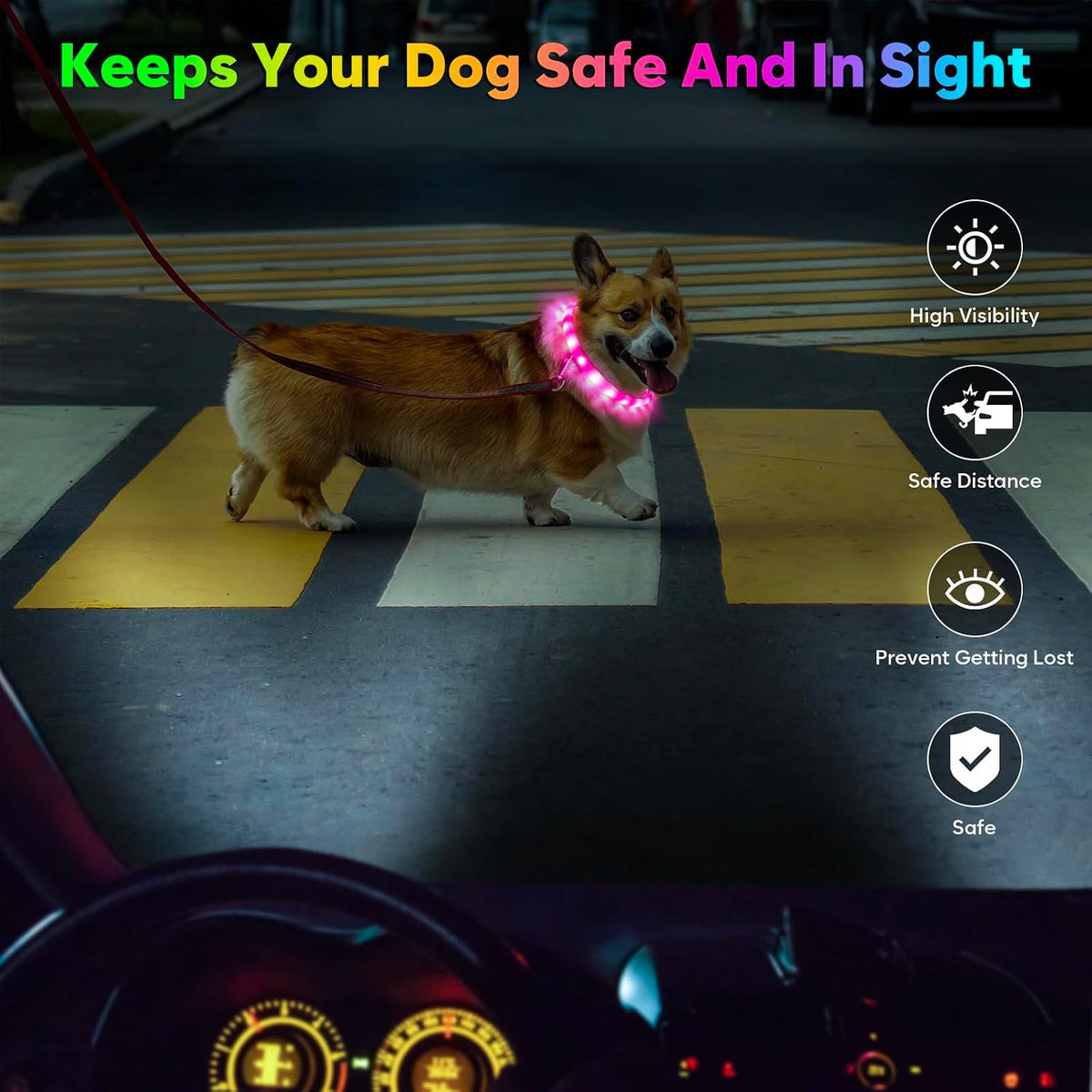 LED Dog Collar, USB Rechargeable Glow Lighted up Collar, Green