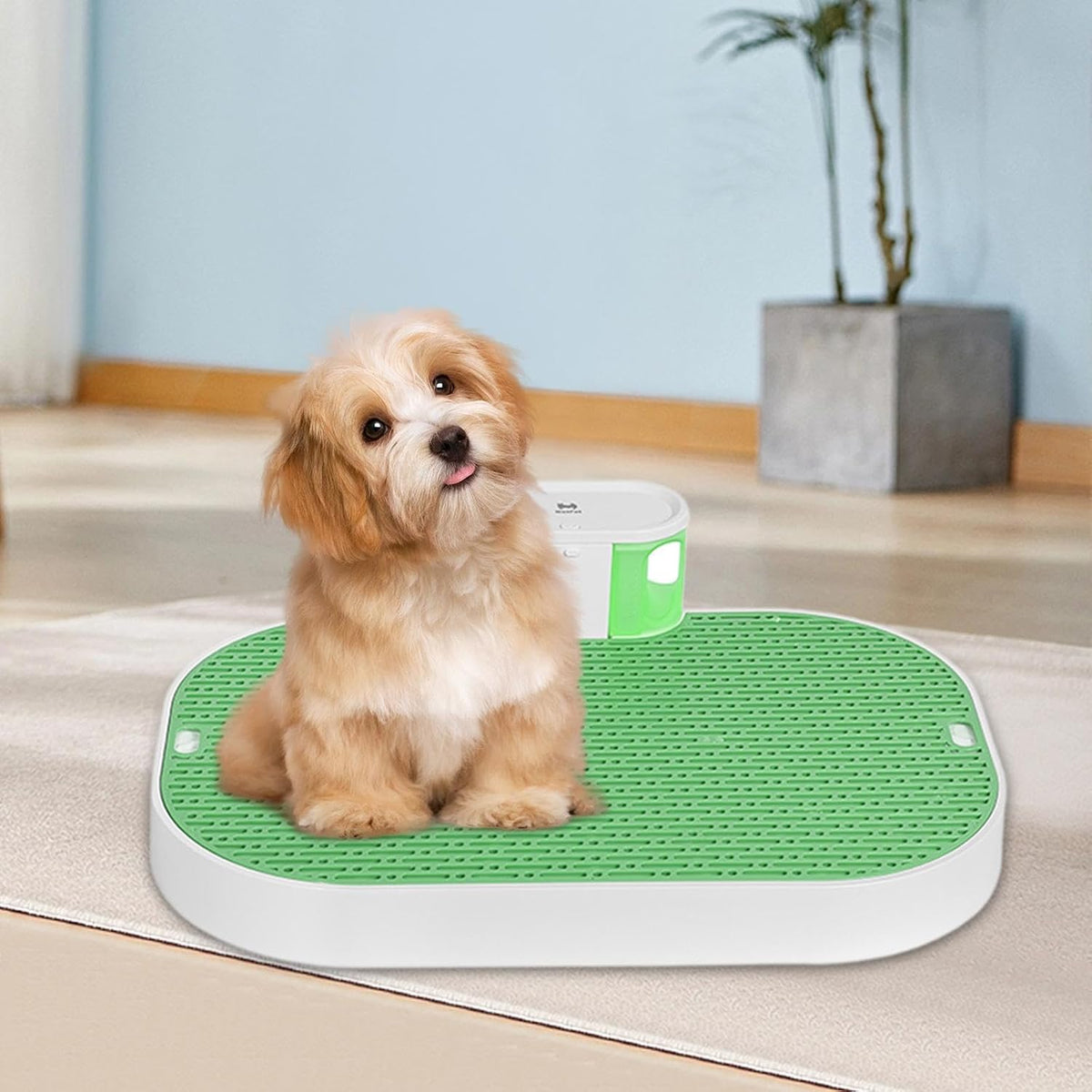 Dog Potty Loo Automatic Pee Collection Dog Urinal Tray Easy to Clean Quiet Pumping Puppy Training Smart Dog Toilet, Green