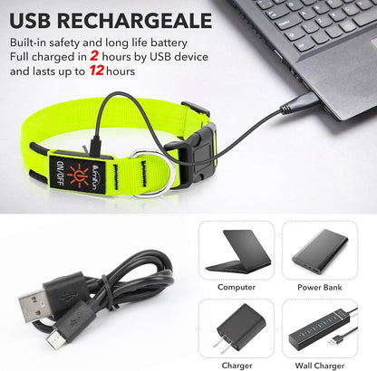 Light Up Dog Collar, USB Rechargeable LED Dog Collar Glow in the Dark，Adjustable Pet Safety Lights for Night Walking (Green, Medium)