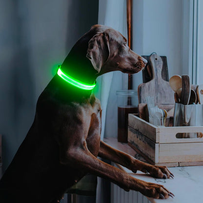Light Up Dog Collar, USB Rechargeable LED Dog Collar Glow in the Dark，Adjustable Pet Safety Lights for Night Walking (Green, Medium)