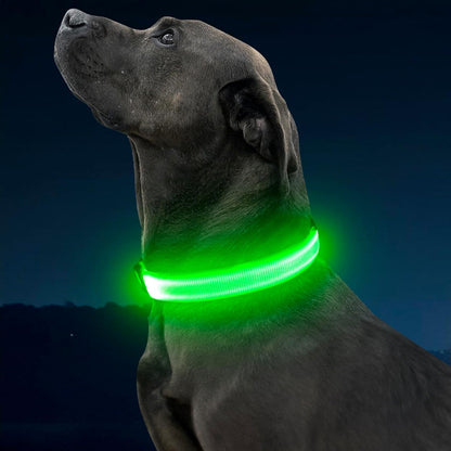 Light Up Dog Collar, USB Rechargeable LED Dog Collar Glow in the Dark，Adjustable Pet Safety Lights for Night Walking (Green, Medium)