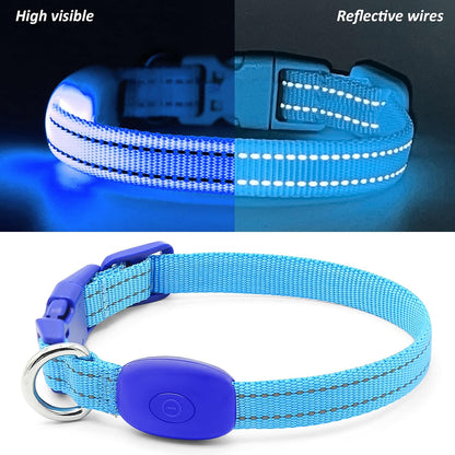 Light Up Dog Collar, USB Rechargeable LED Dog Collar Glow in the Dark，Adjustable Pet Safety Lights for Night Walking (Green, Medium)