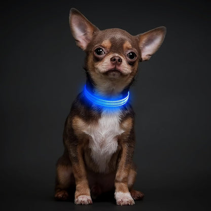 Light Up Dog Collar, USB Rechargeable LED Dog Collar Glow in the Dark，Adjustable Pet Safety Lights for Night Walking (Green, Medium)