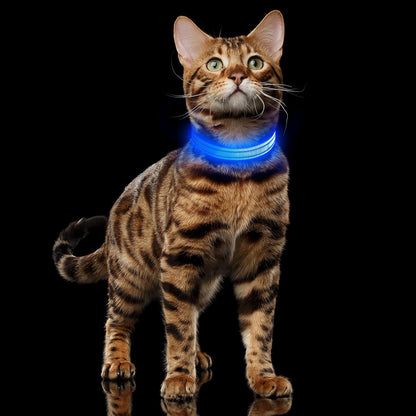 Light Up Dog Collar, USB Rechargeable LED Dog Collar Glow in the Dark，Adjustable Pet Safety Lights for Night Walking (Green, Medium)