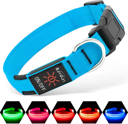 Light Up Dog Collar, USB Rechargeable LED Dog Collar Glow in the Dark，Adjustable Pet Safety Lights for Night Walking (Green, Medium)
