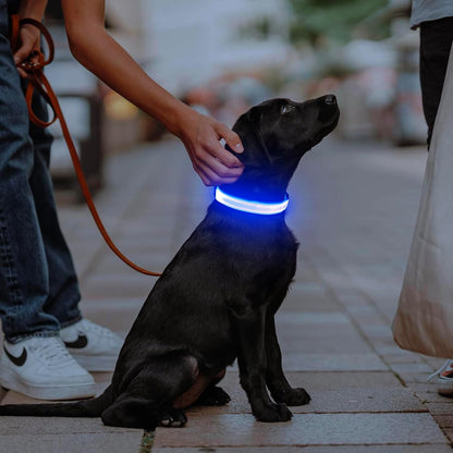 Light Up Dog Collar, USB Rechargeable LED Dog Collar Glow in the Dark，Adjustable Pet Safety Lights for Night Walking (Green, Medium)