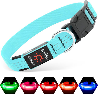 Light Up Dog Collar, USB Rechargeable LED Dog Collar Glow in the Dark，Adjustable Pet Safety Lights for Night Walking (Green, Medium)