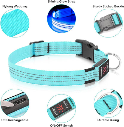Light Up Dog Collar, USB Rechargeable LED Dog Collar Glow in the Dark，Adjustable Pet Safety Lights for Night Walking (Green, Medium)