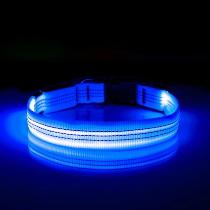 Light Up Dog Collar, USB Rechargeable LED Dog Collar Glow in the Dark，Adjustable Pet Safety Lights for Night Walking (Green, Medium)