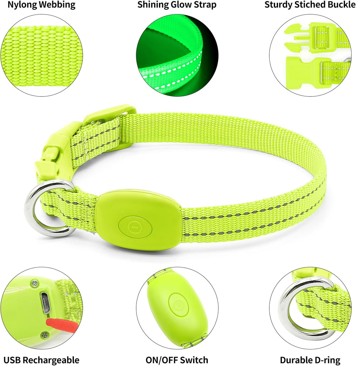 Light Up Dog Collar, USB Rechargeable LED Dog Collar Glow in the Dark，Adjustable Pet Safety Lights for Night Walking (Green, Medium)