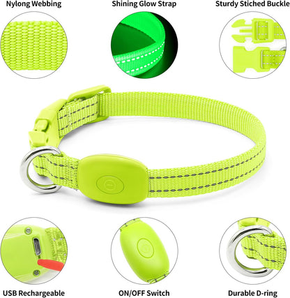 Light Up Dog Collar, USB Rechargeable LED Dog Collar Glow in the Dark，Adjustable Pet Safety Lights for Night Walking (Green, Medium)