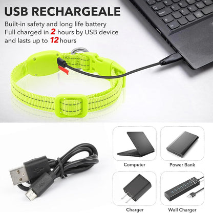 Light Up Dog Collar, USB Rechargeable LED Dog Collar Glow in the Dark，Adjustable Pet Safety Lights for Night Walking (Green, Medium)