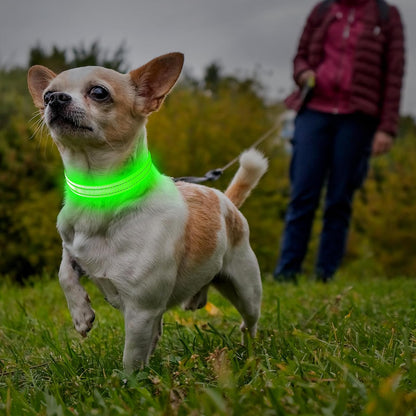 Light Up Dog Collar, USB Rechargeable LED Dog Collar Glow in the Dark，Adjustable Pet Safety Lights for Night Walking (Green, Medium)