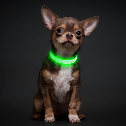 Light Up Dog Collar, USB Rechargeable LED Dog Collar Glow in the Dark，Adjustable Pet Safety Lights for Night Walking (Green, Medium)